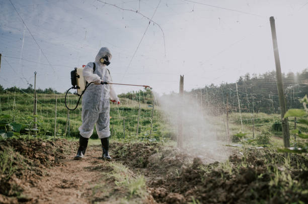 Best Pest Removal Services  in Sherwood, AR