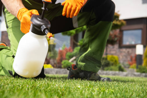 Best Pest Control Treatment  in Sherwood, AR