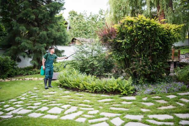 Best Exterminator Services  in Sherwood, AR
