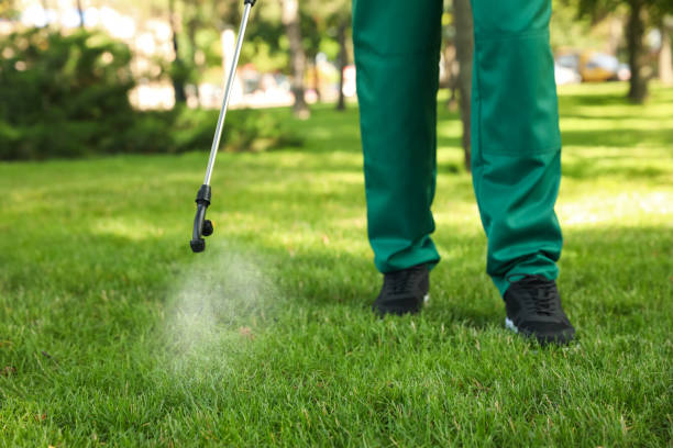 Flea Control Services in Sherwood, AR