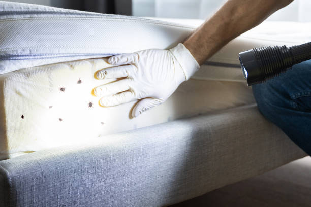 Best Pest Control for Restaurants  in Sherwood, AR