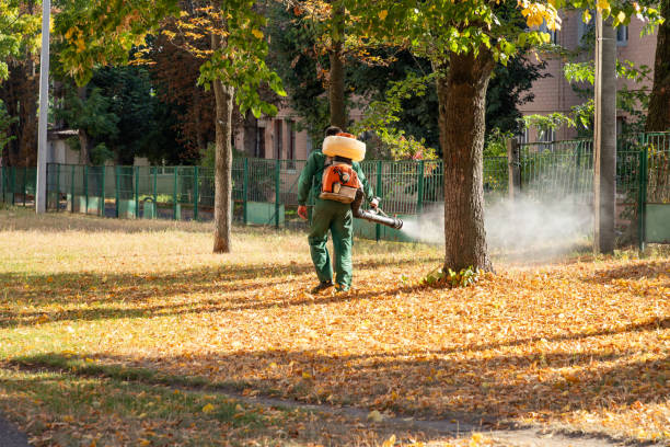 Best Flea Control Services  in Sherwood, AR