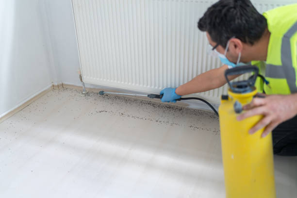 Best Emergency Pest Control  in Sherwood, AR