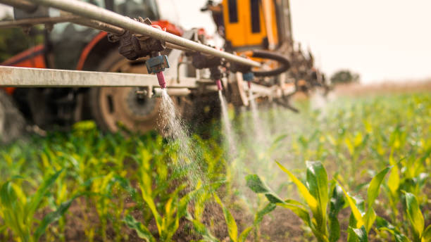 Best Wildlife Control Services  in Sherwood, AR